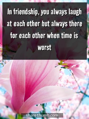 friendship quotes n images